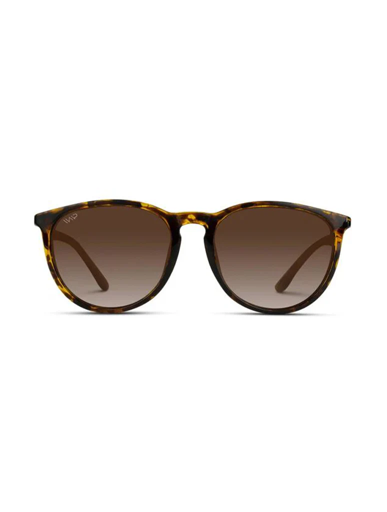 Drew Polarized Sunglasses - Image 5
