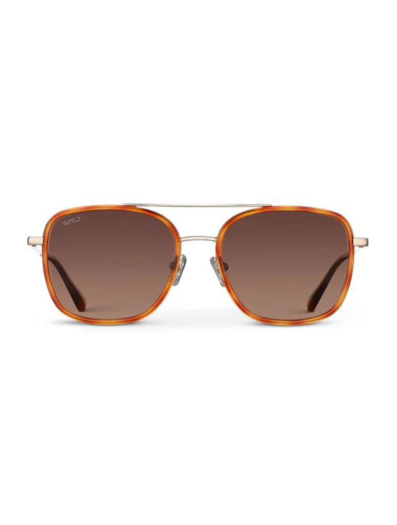 Gia Polarized Sunglasses - Image 5