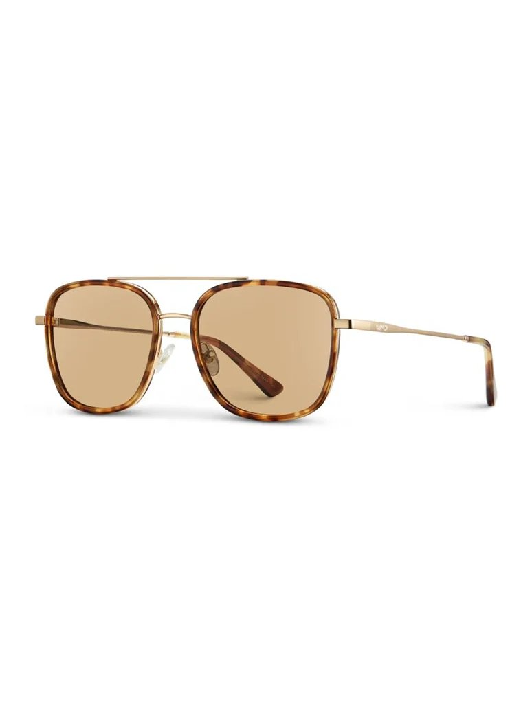 Gia Polarized Sunglasses - Image 8