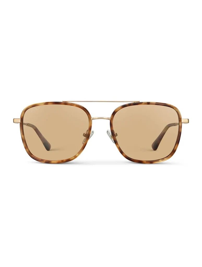 Gia Polarized Sunglasses - Image 9